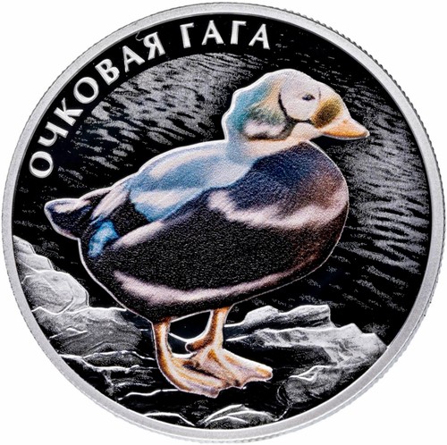 2026 russia spectacled eider - spectacled,